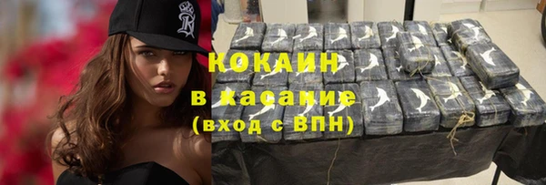 твердый Няндома