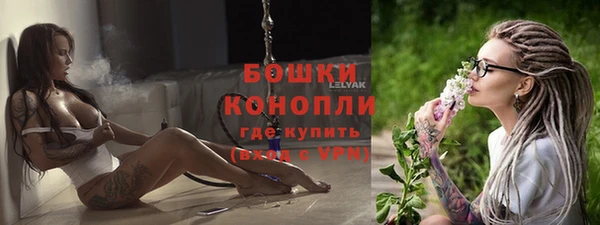 твердый Няндома