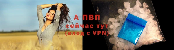 винт Осташков